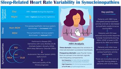 Heart rate variability during sleep in synucleinopathies: a review